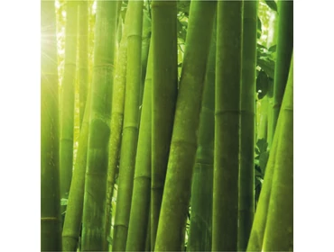 Fa - Bambusz tollak